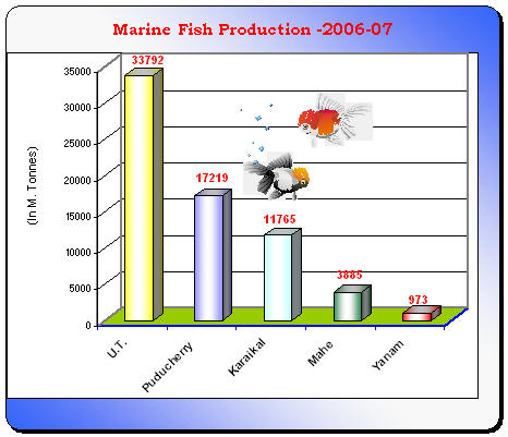 Marine fish production 2006-07 - graph