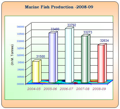 Marine fish production - graph