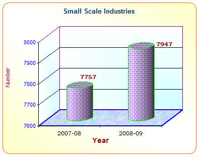Small scale industries - graph