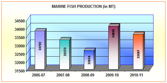 Marine fish production - graph