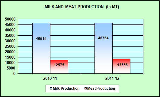 Milk and Meat and production - graph