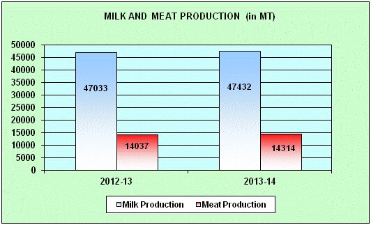 Milk and meat production, Puducherry